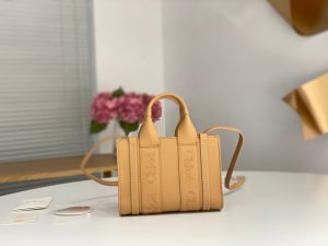 끌로에 우디백 미니 CHC22AP237I26-8