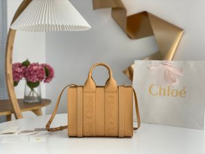 끌로에 우디백 미니 CHC22WS397I60247-8