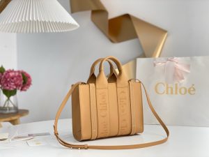 끌로에 우디백 미니 CHC22WS397I60247-8