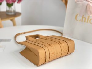 끌로에 우디백 미니 CHC22WS397I60247-8