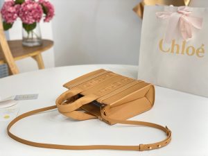 끌로에 우디백 스몰 CHC22WS397I60247-8 - 이미지 3
