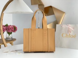 끌로에 우디백 미디엄 CHC22WS383I6026X-8
