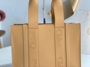끌로에 우디백 미디엄 CHC22WS383I6026X-8