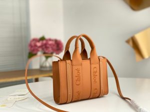 끌로에 우디백 미니 CHC22AP237I26-7