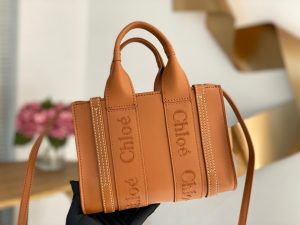 끌로에 우디백 미니 CHC22AP237I26-7