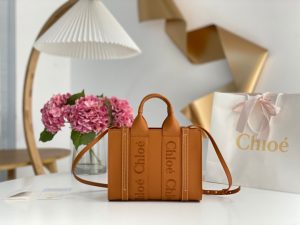 끌로에 우디백 미니 CHC22WS397I60247-7