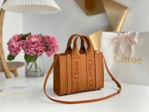 끌로에 우디백 미니 CHC22WS397I60247-7