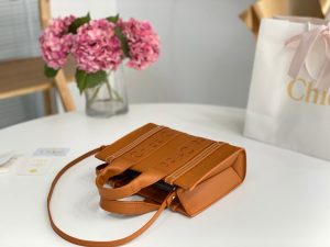 끌로에 우디백 미니 CHC22WS397I60247-7