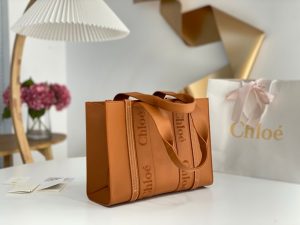 끌로에 우디백 미디엄 CHC22WS383I6026X-7