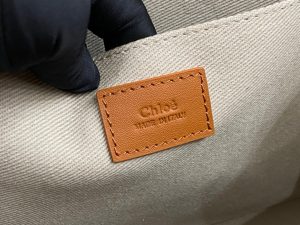 끌로에 우디백 미디엄 CHC22WS383I6026X-7 - 이미지 8