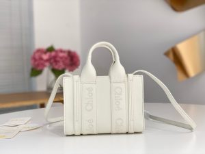 끌로에 우디백 미니 CHC22AP237I26-6