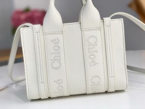 끌로에 우디백 미니 CHC22AP237I26-6
