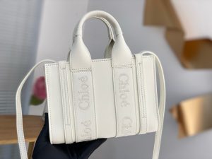 끌로에 우디백 미니 CHC22AP237I26-6