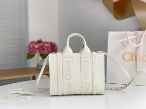 끌로에 우디백 미니 CHC22WS397I60247-6