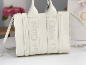 끌로에 우디백 미니 CHC22WS397I60247-6