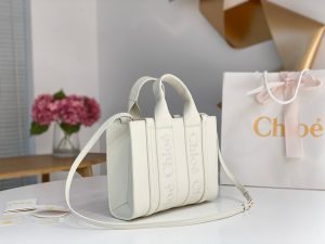 끌로에 우디백 미니 CHC22WS397I60247-6