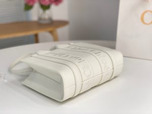 끌로에 우디백 스몰 CHC22WS397I60247-6 - 이미지 3