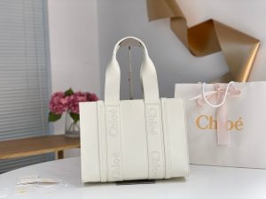 끌로에 우디백 미디엄 CHC22WS383I6026X-6