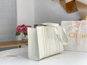끌로에 우디백 미디엄 CHC22WS383I6026X-6