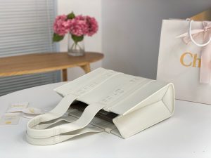 끌로에 우디백 미디엄 CHC22WS383I6026X-6