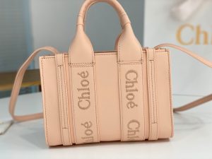끌로에 우디백 미니 CHC22AP237I26