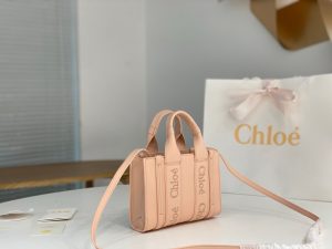 끌로에 우디백 미니 CHC22AP237I26