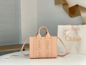 끌로에 우디백 미니 CHC22WS397I60247
