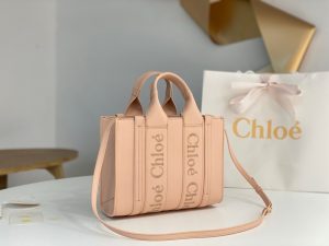 끌로에 우디백 미니 CHC22WS397I60247