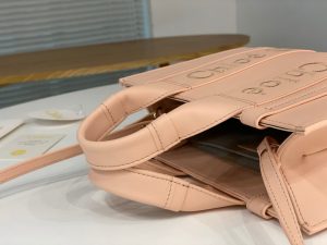 끌로에 우디백 스몰 CHC22WS397I60247 - 이미지 5