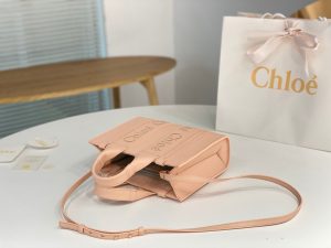 끌로에 우디백 미니 CHC22WS397I60247