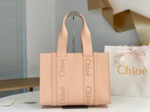 끌로에 우디백 미디엄 CHC22WS383I6026X