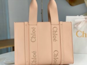 끌로에 우디백 미디엄 CHC22WS383I6026X