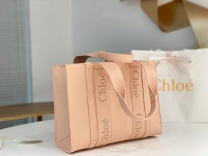 끌로에 우디백 미디엄 CHC22WS383I6026X
