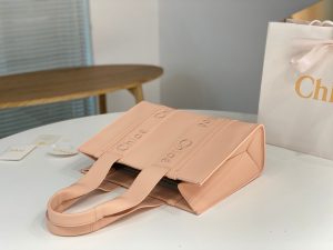 끌로에 우디백 미디엄 CHC22WS383I6026X