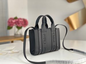 끌로에 우디백 미니 CHC22AP237I26-2