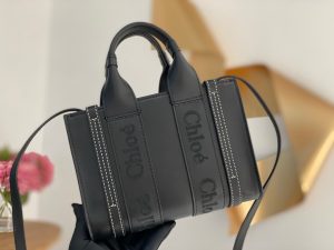 끌로에 우디백 미니 CHC22AP237I26-2