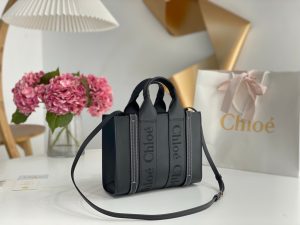 끌로에 우디백 미니 CHC22WS397I60247-2