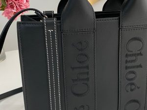 끌로에 우디백 미니 CHC22WS397I60247-2