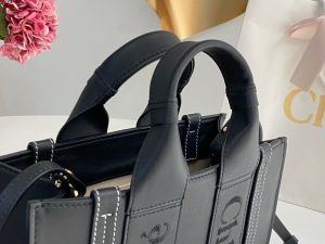 끌로에 우디백 스몰 CHC22WS397I60247-2 - 이미지 6