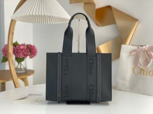 끌로에 우디백 미디엄 CHC22WS383I6026X-2
