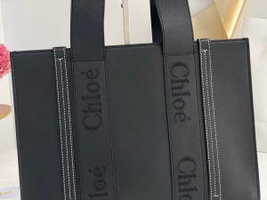 끌로에 우디백 미디엄 CHC22WS383I6026X-2