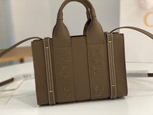 끌로에 우디백 미니 CHC22AP237I26-3