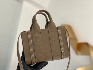 끌로에 우디백 미니 CHC22AP237I26-3