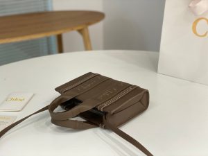 끌로에 우디백 미니 CHC22AP237I26-3 - 이미지 4