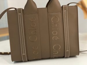 끌로에 우디백 미니 CHC22WS397I60247-3