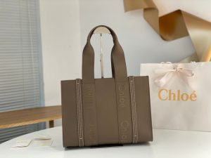 끌로에 우디백 미디엄 CHC22WS383I6026X-3