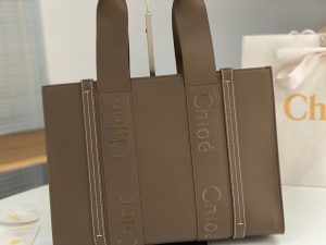 끌로에 우디백 미디엄 CHC22WS383I6026X-3