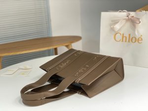 끌로에 우디백 미디엄 CHC22WS383I6026X-3