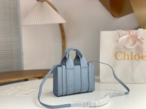 끌로에 우디백 미니 CHC22AP237I26-4