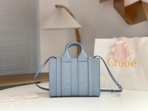 끌로에 우디백 미니 CHC22WS397I60247-4